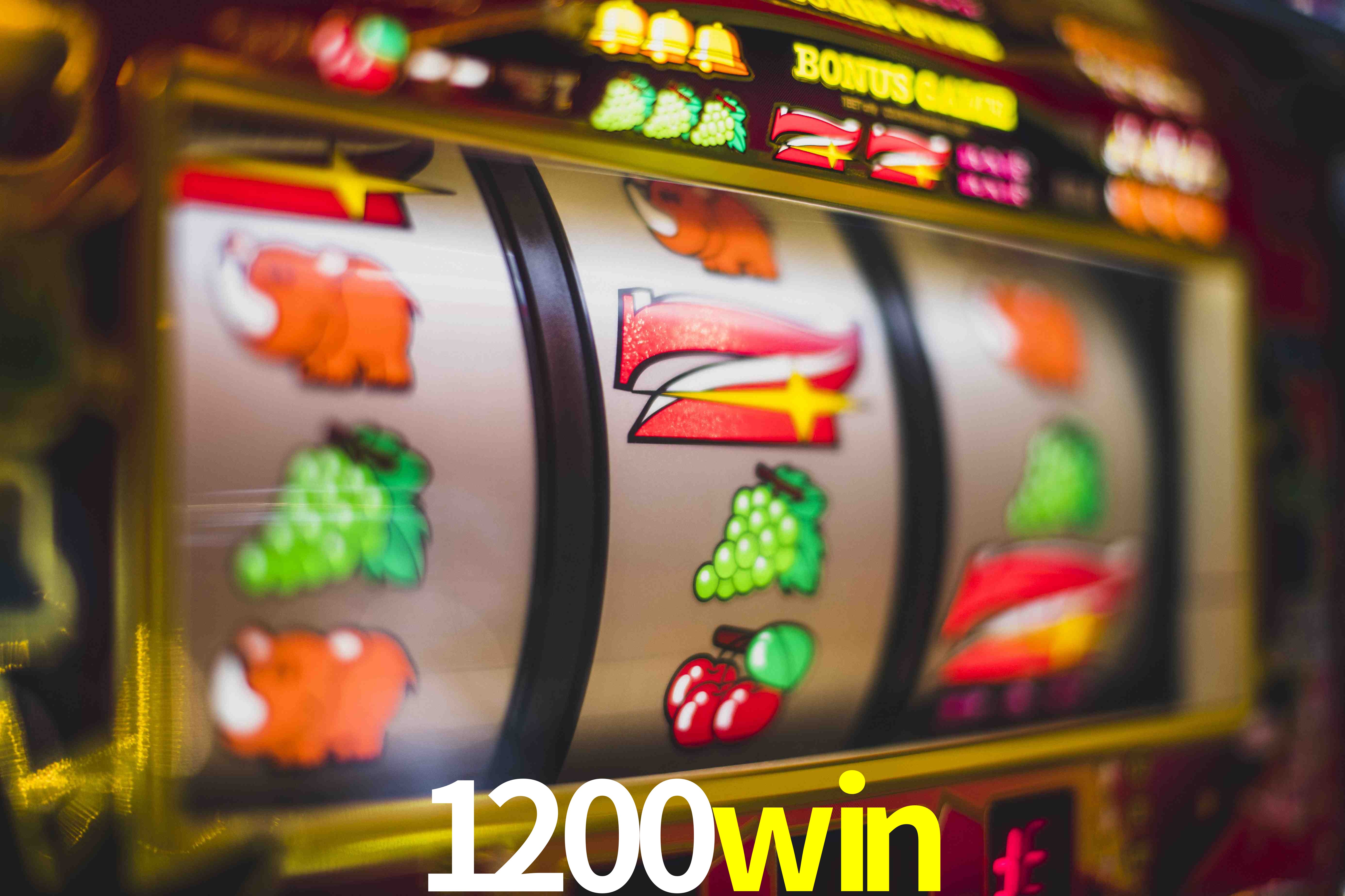 Basketball Betting 1200win